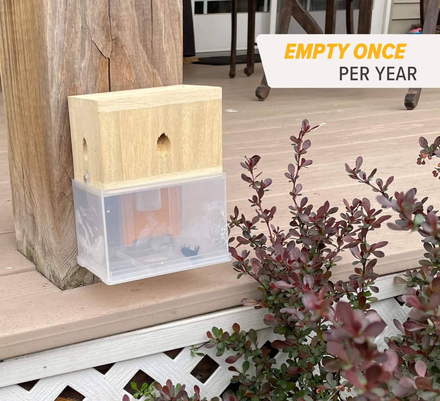 Carpenter Bee Trap