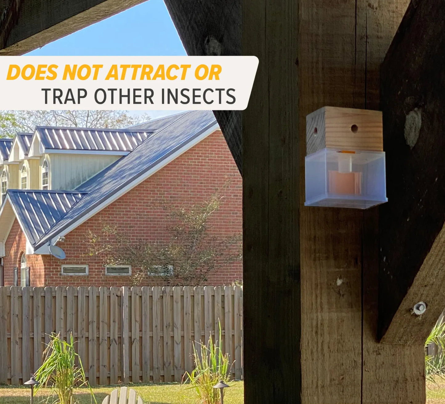 Carpenter Bee Trap