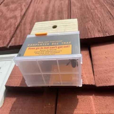Carpenter Bee Trap