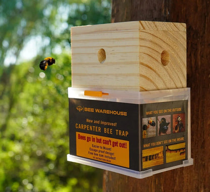 Carpenter Bee Trap